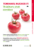 TOMIMARU MUCHOO F1 Wyjątkowy smak pomidora