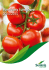 Pomidory tunelowe